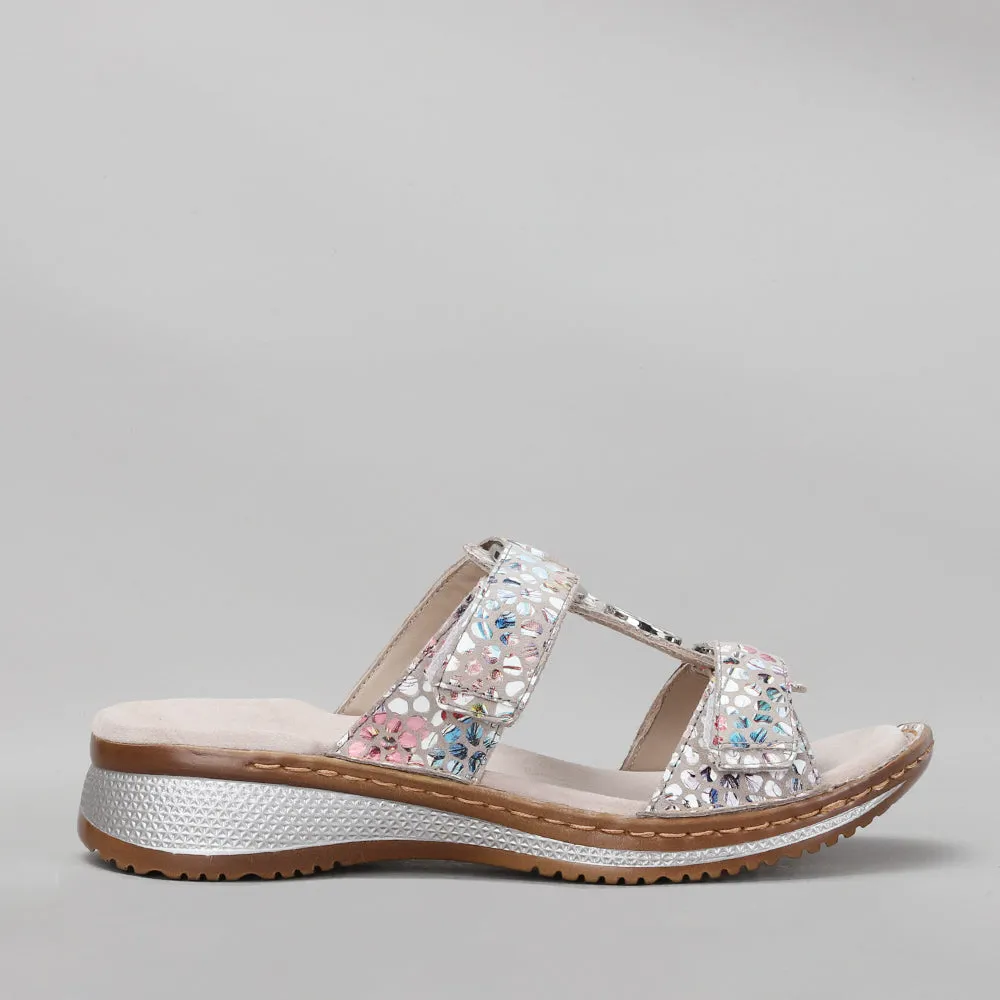 ARA - 12-29003 HAWAII - SASSO