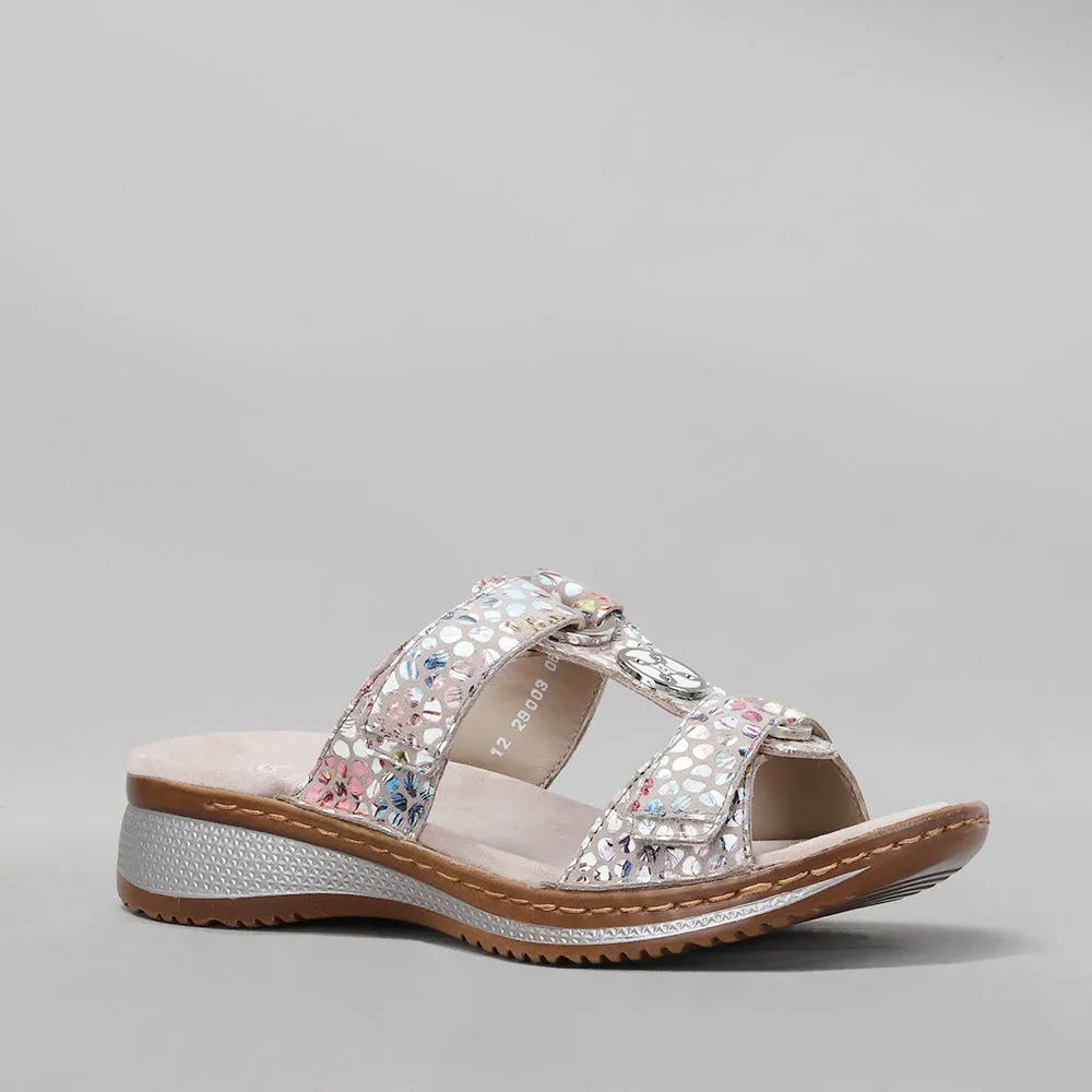ARA - 12-29003 HAWAII - SASSO
