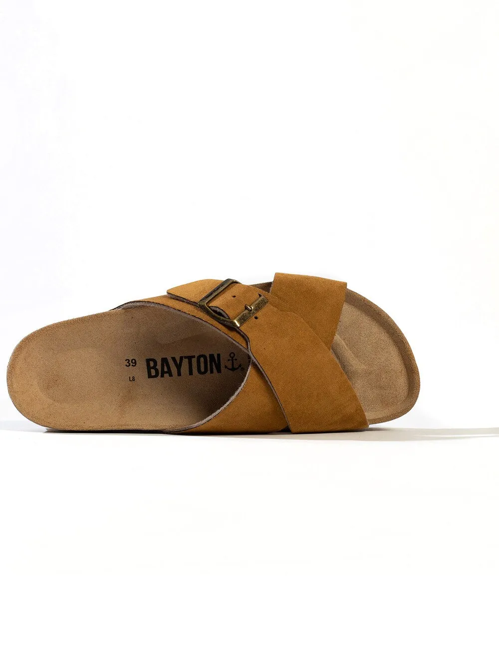 Bayton Ajax mules, brown